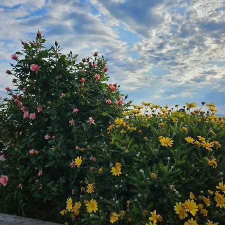 Tajla בית הארחה ספליט