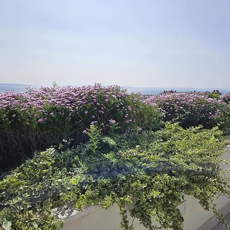 בית הארחה Tajla ספליט