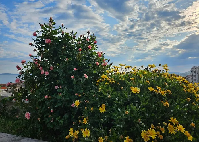 Tajla Πανσιόν Σπλιτ