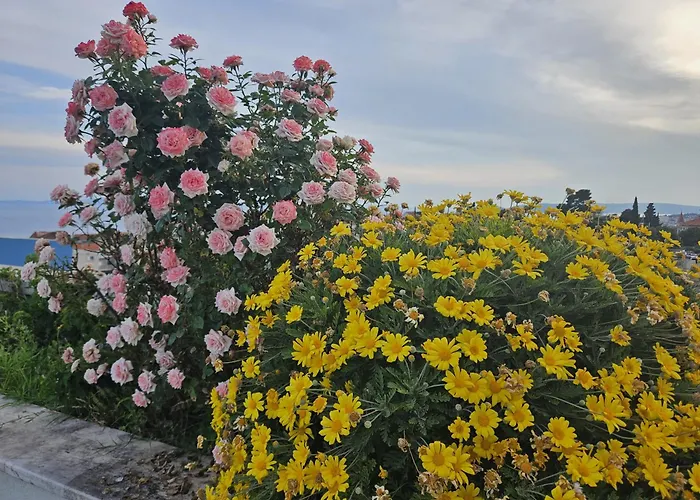 Casa de hóspedes Tajla 3*